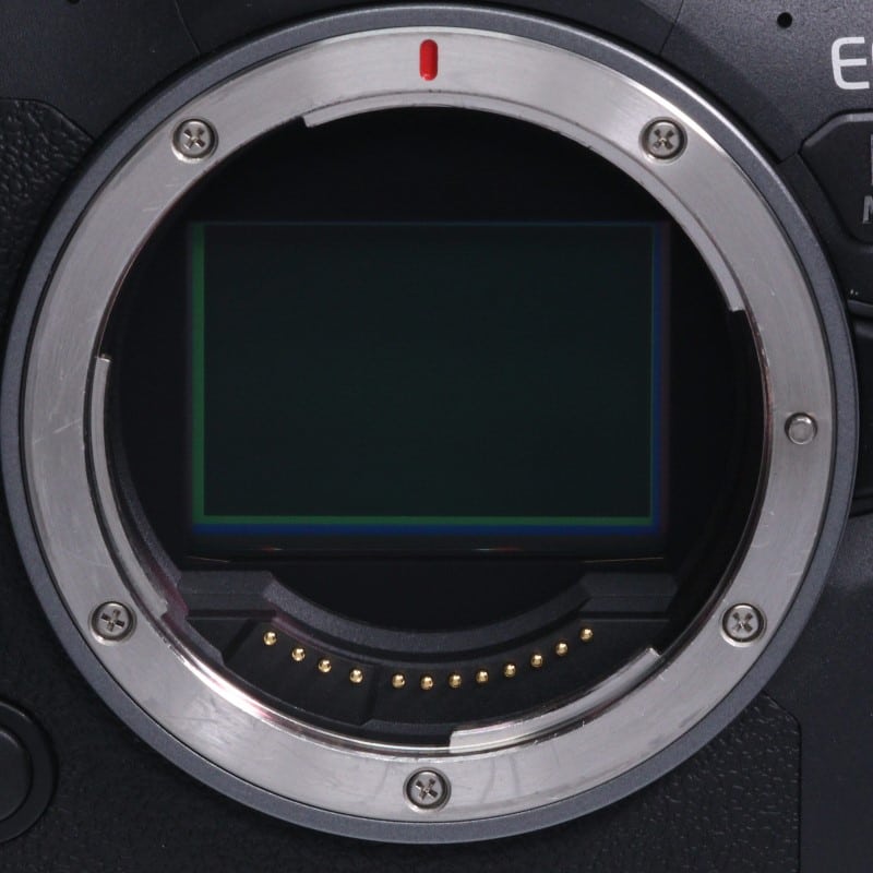 EOS R6 Mark II ボディー