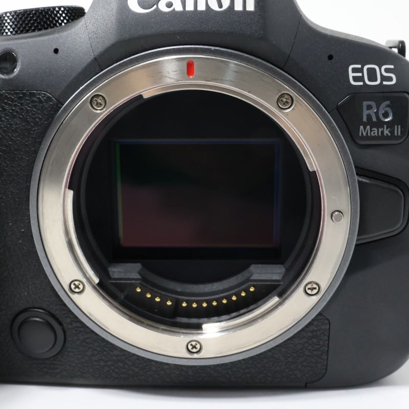 EOS R6 Mark II ボディー