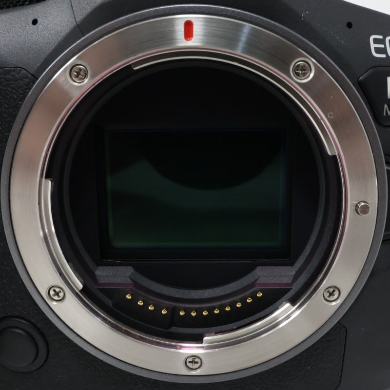 EOS R6 Mark II ボディー