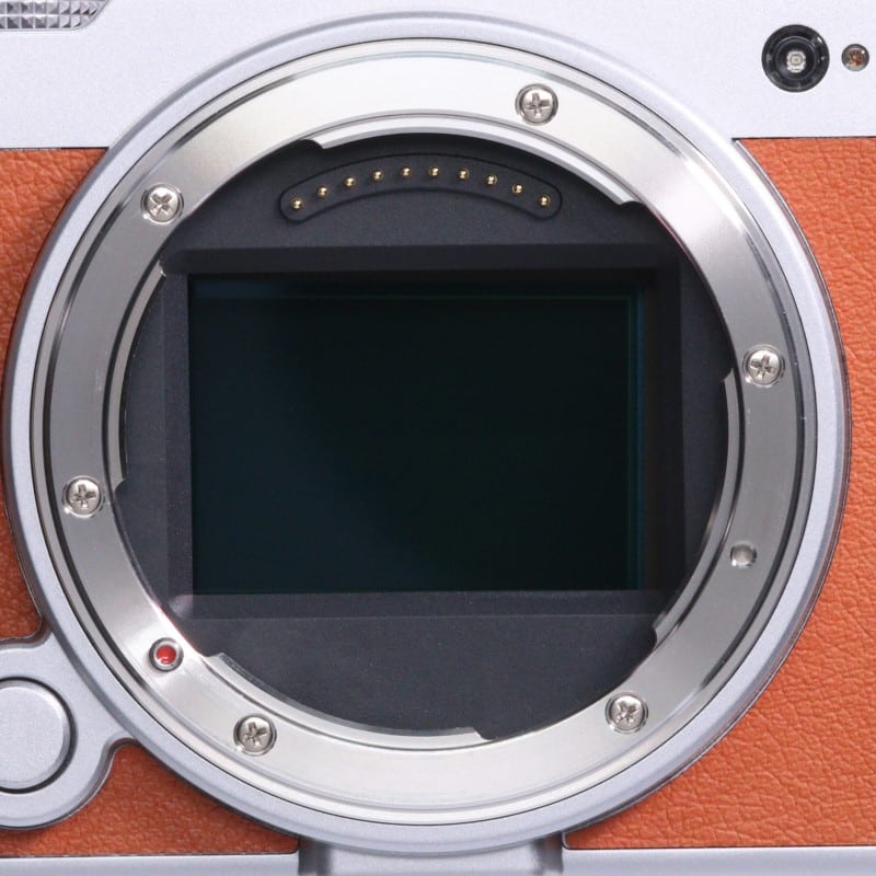 LUMIX S9 ボディのみ ライトシルバー(キャメルオレンジ)