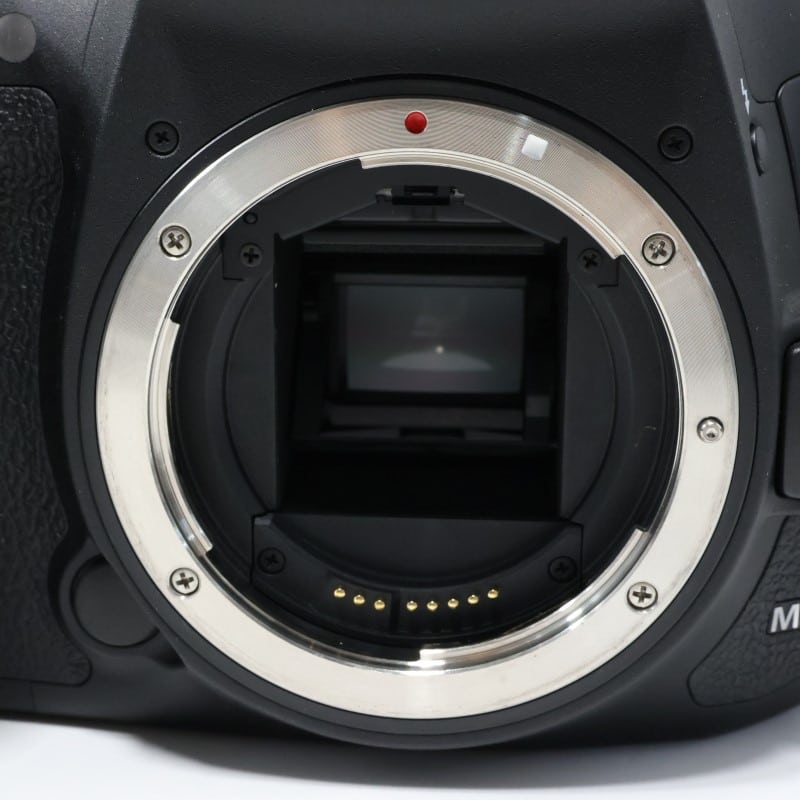 EOS 7D Mark II ボディー