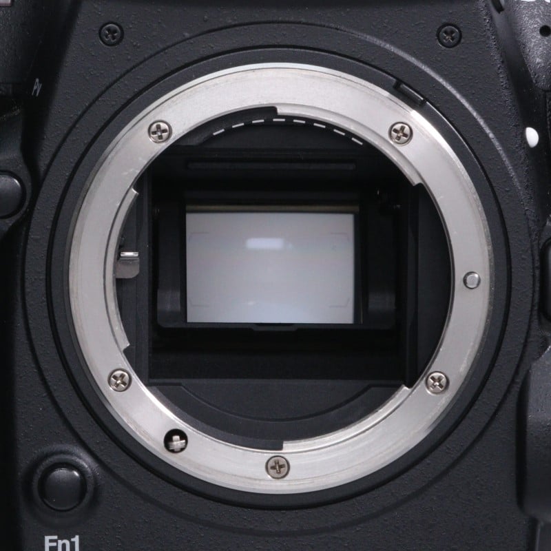 D500 ボディ