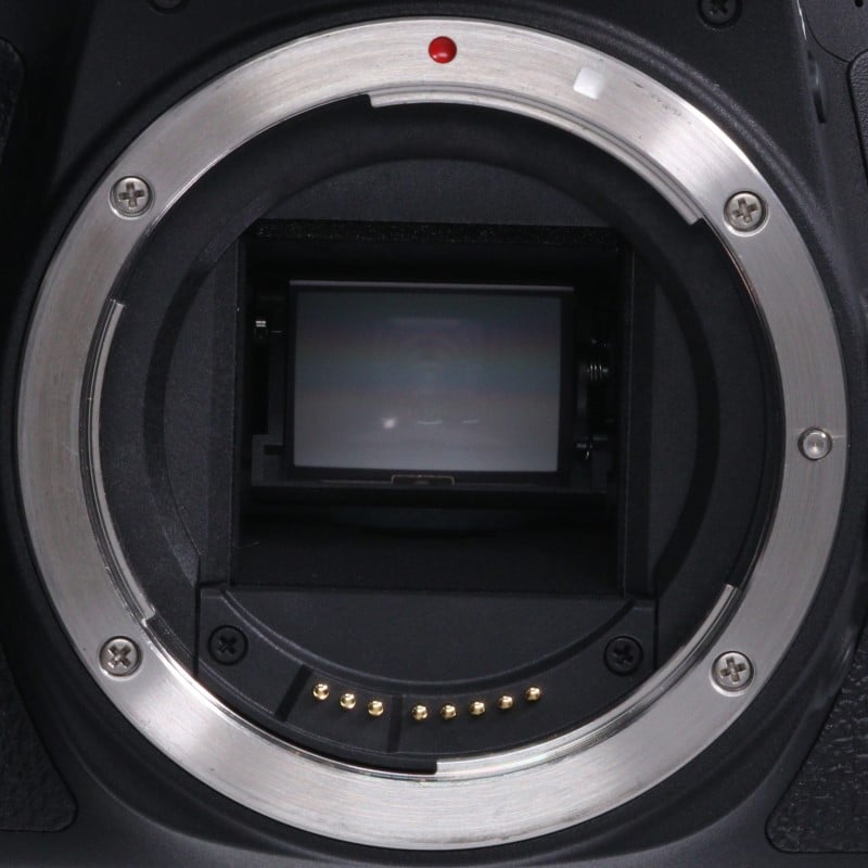 EOS 8000D ボディー