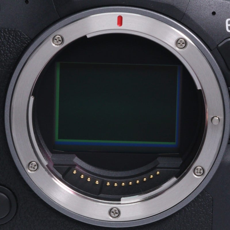 EOS R6 Mark II ボディー