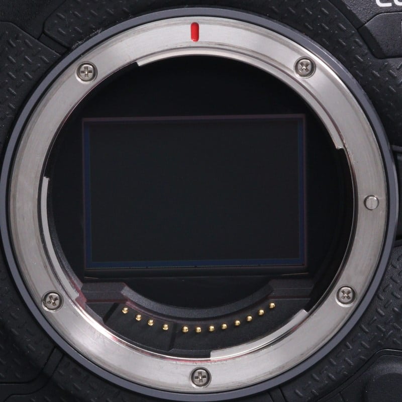 EOS R1 ボディー