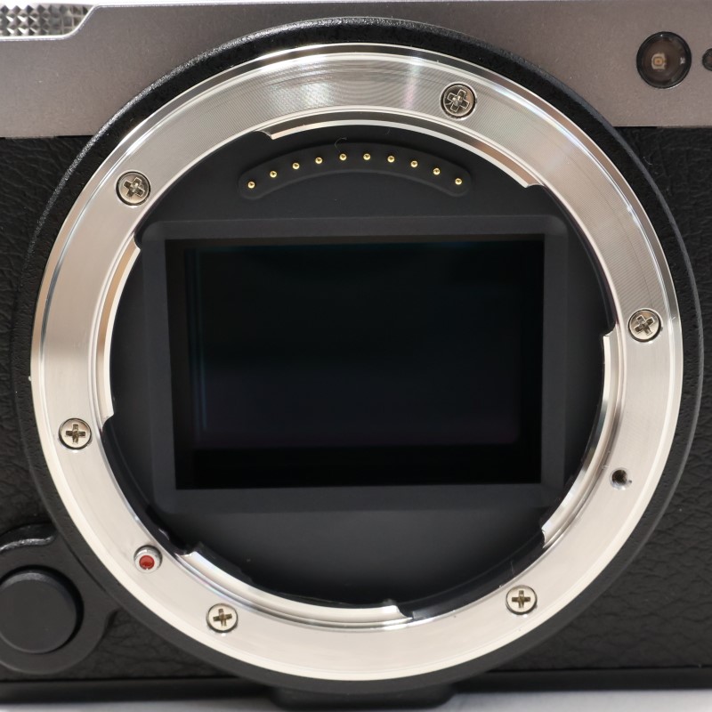 LUMIX S9 ボディ シルバー DC-S9-S