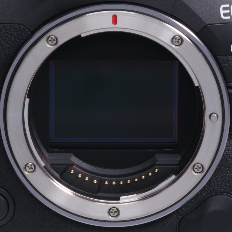EOS R5 Mark II ボディー