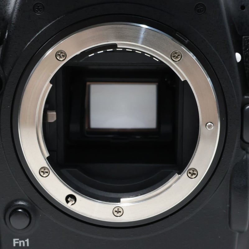 D500 ボディ