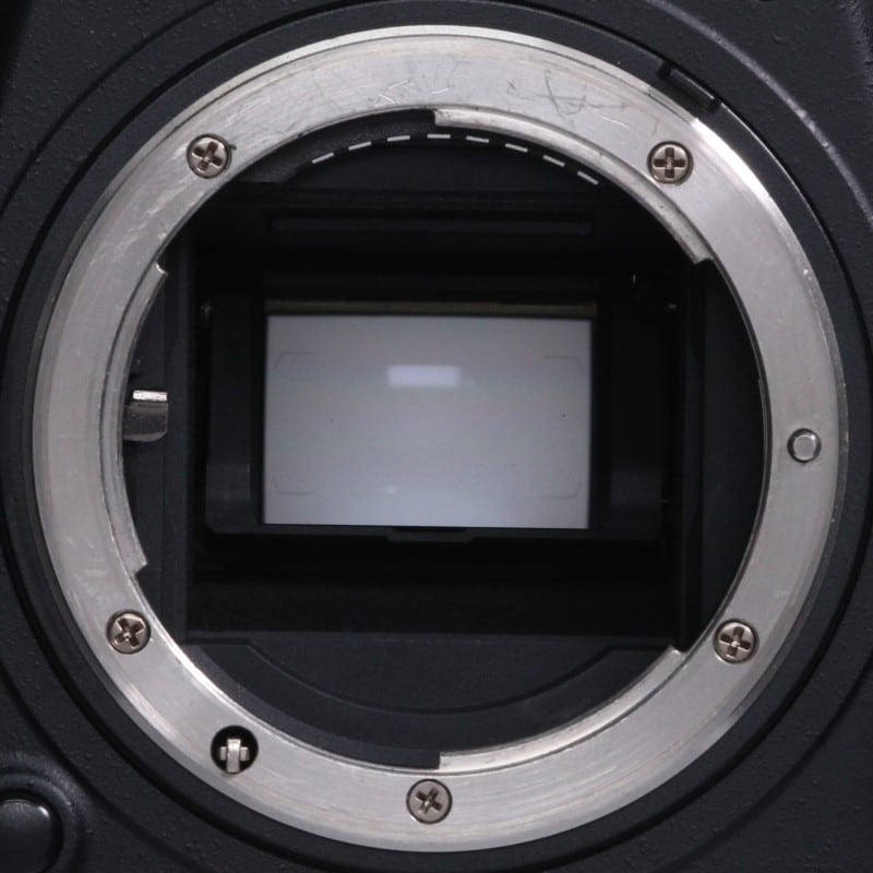 D500 ボディ