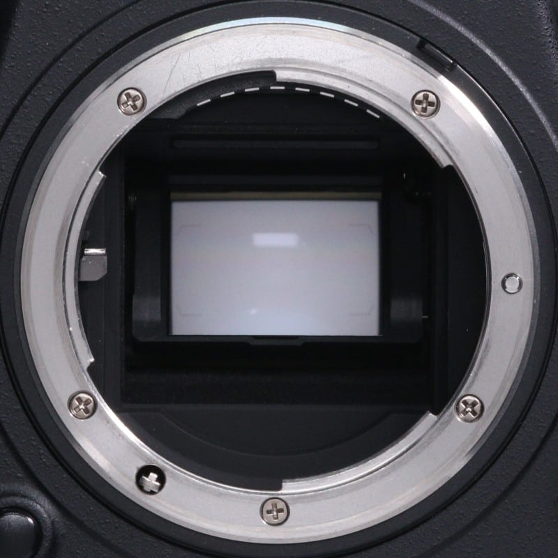 D500 ボディ