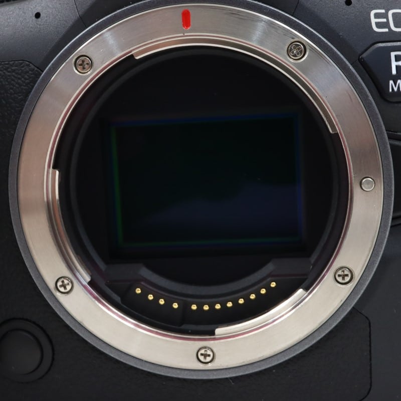 EOS R6 Mark II ボディー