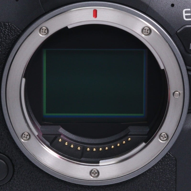 EOS R6 Mark II ボディー