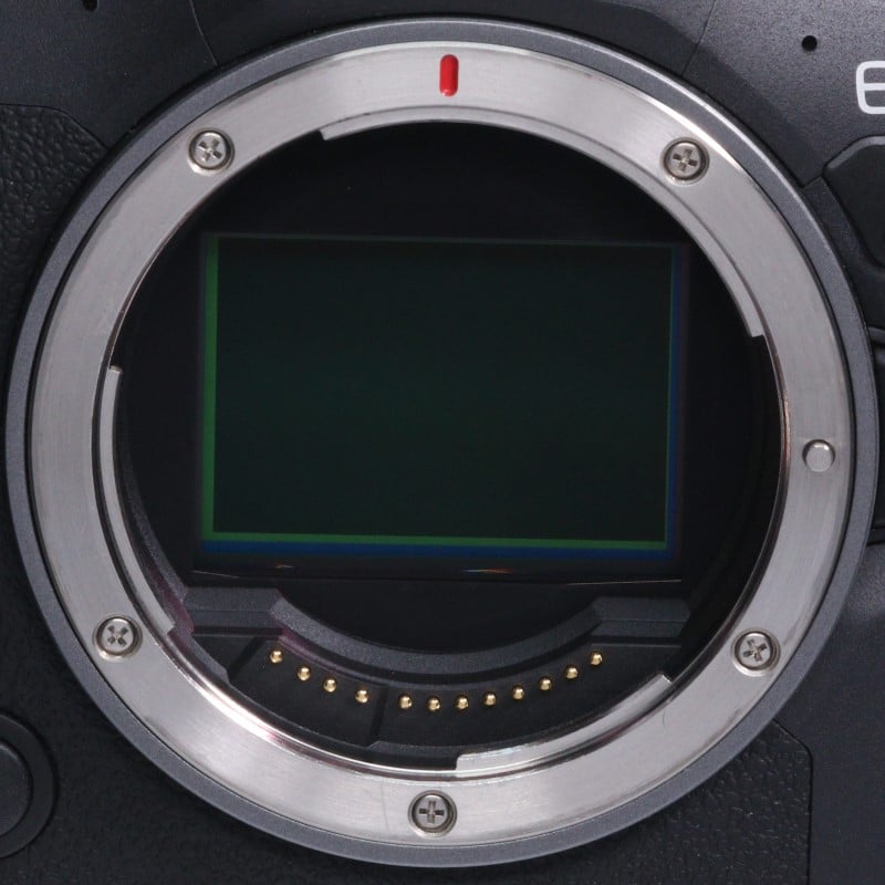 EOS R6 Mark II ボディー