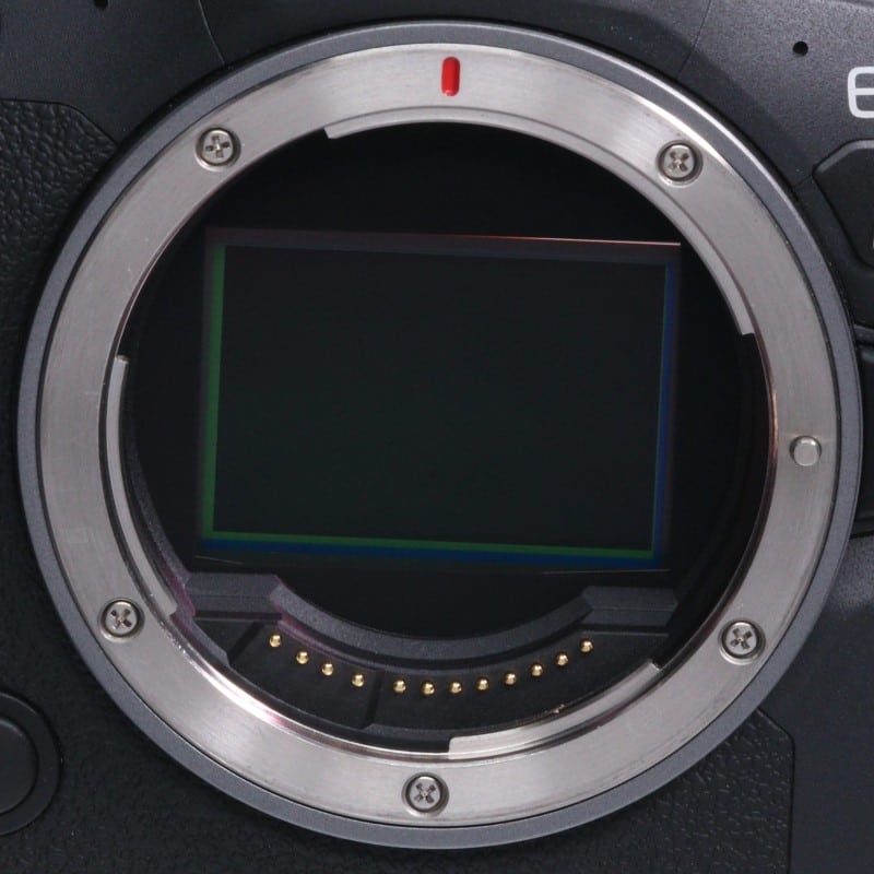 EOS R6 Mark II ボディー