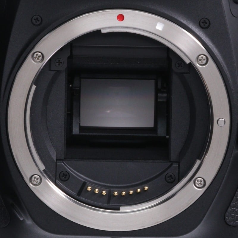 EOS 90D ボディー