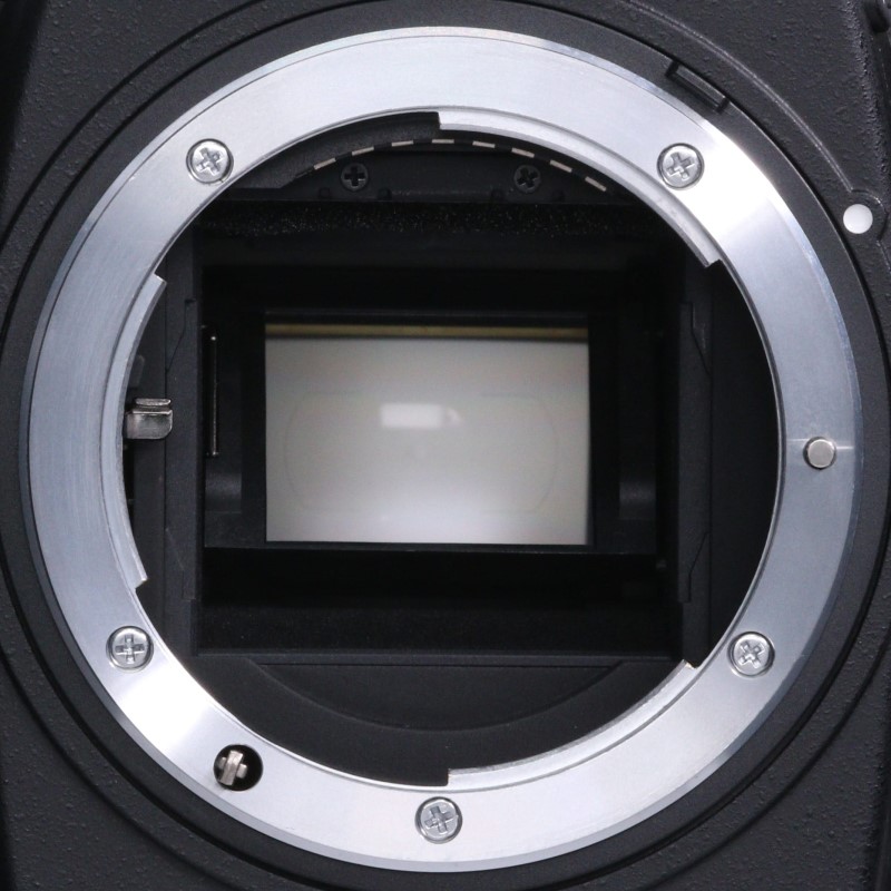 D300