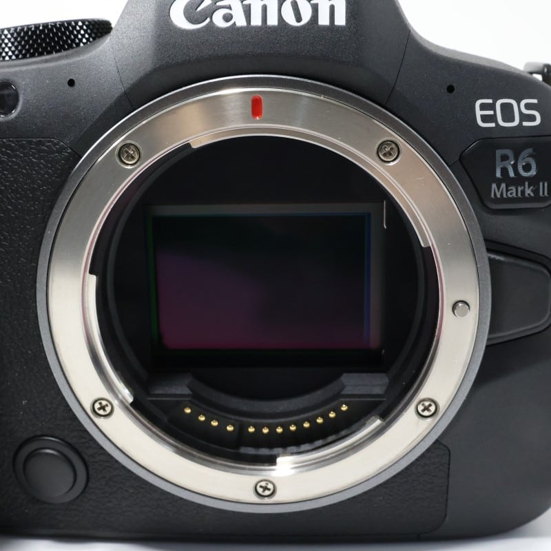 EOS R6 Mark II ボディー