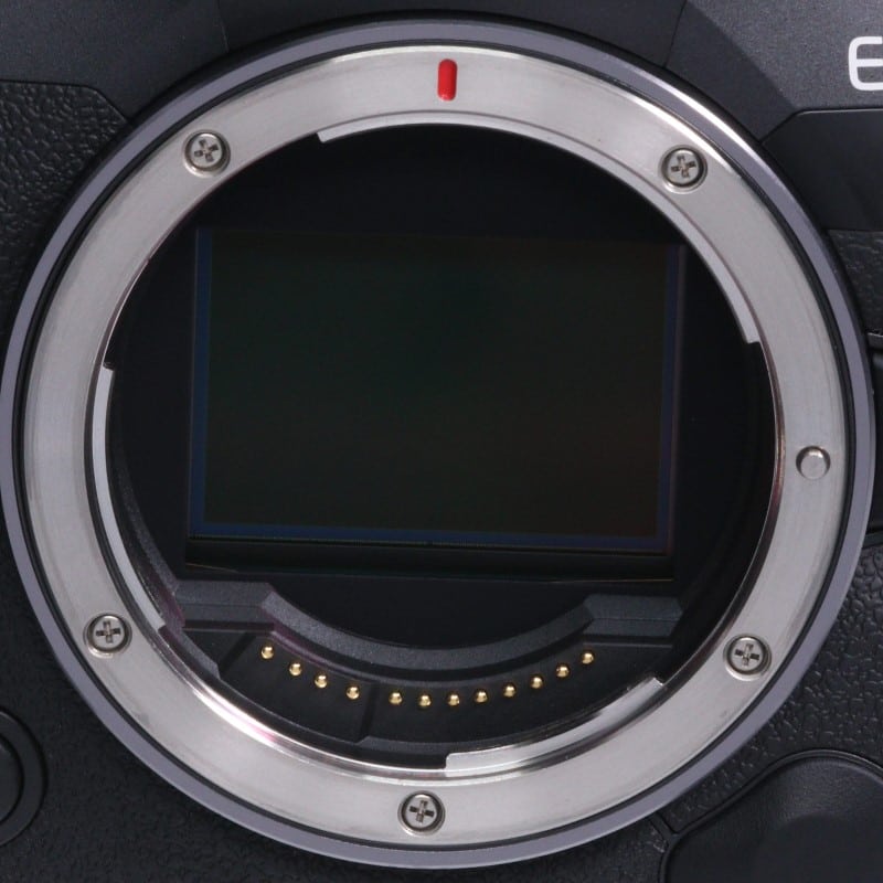 EOS R5 Mark II ボディー