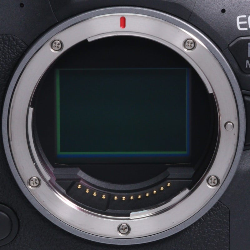 EOS R6 Mark II ボディー