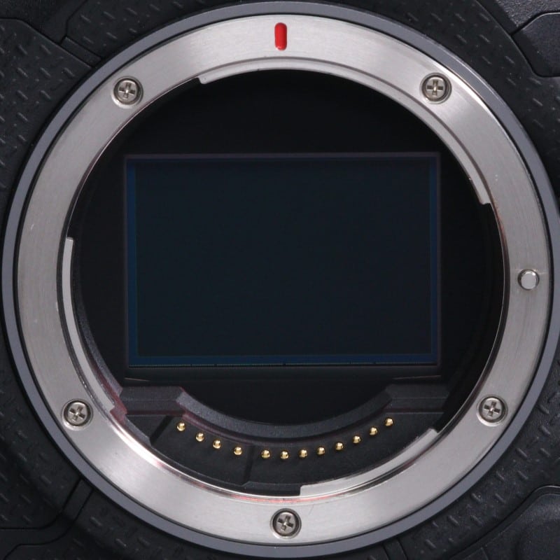 EOS R1 ボディー