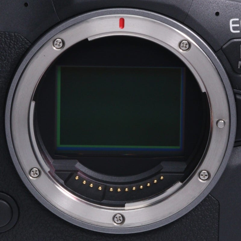 EOS R6 Mark II ボディー