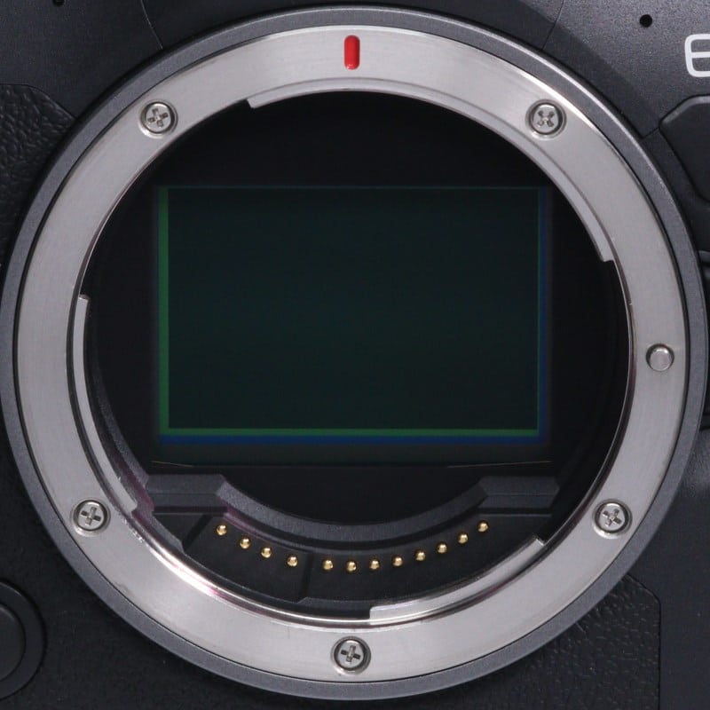 EOS R6 Mark II ボディー
