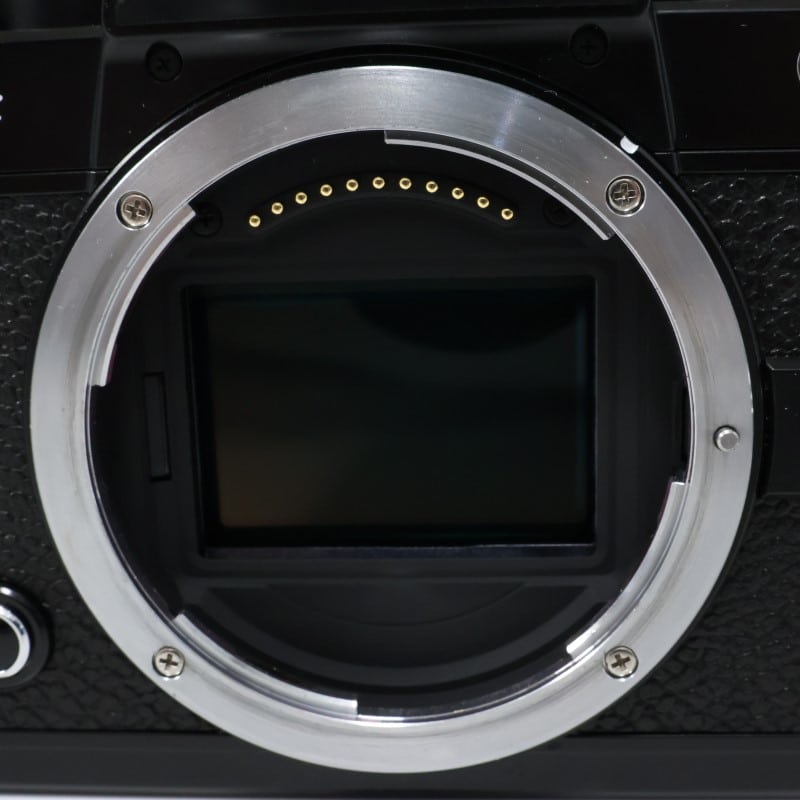 Zf ボディ
