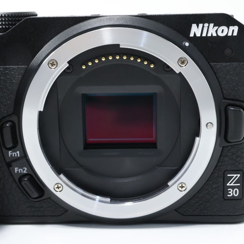 Z30 ボディ
