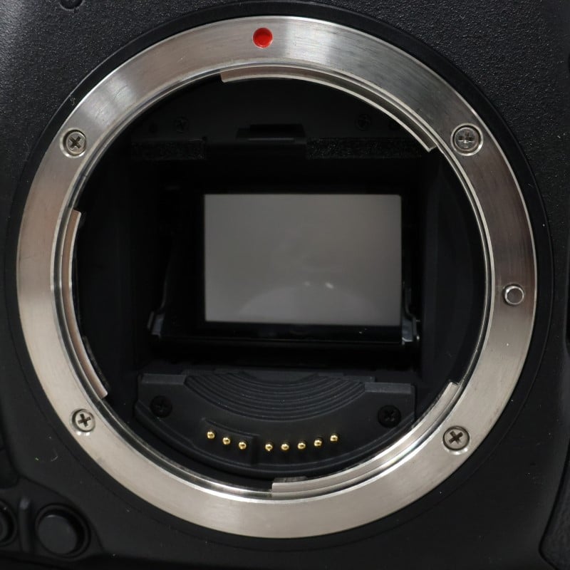 EOS-1D X ボディー