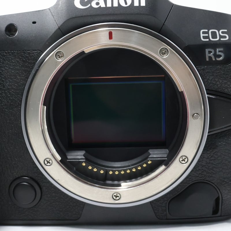 EOS R5 ボディー