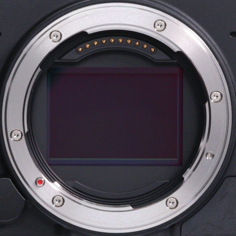 fp L ボディ