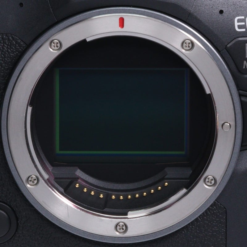 EOS R6 Mark II ボディー