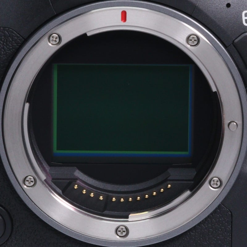 EOS R6 Mark II ボディー
