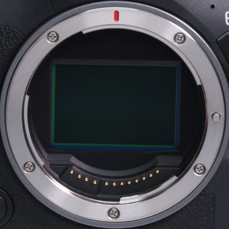 EOS R6 Mark II ボディー