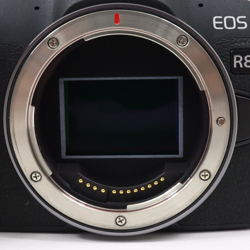 EOS R8 ボディー