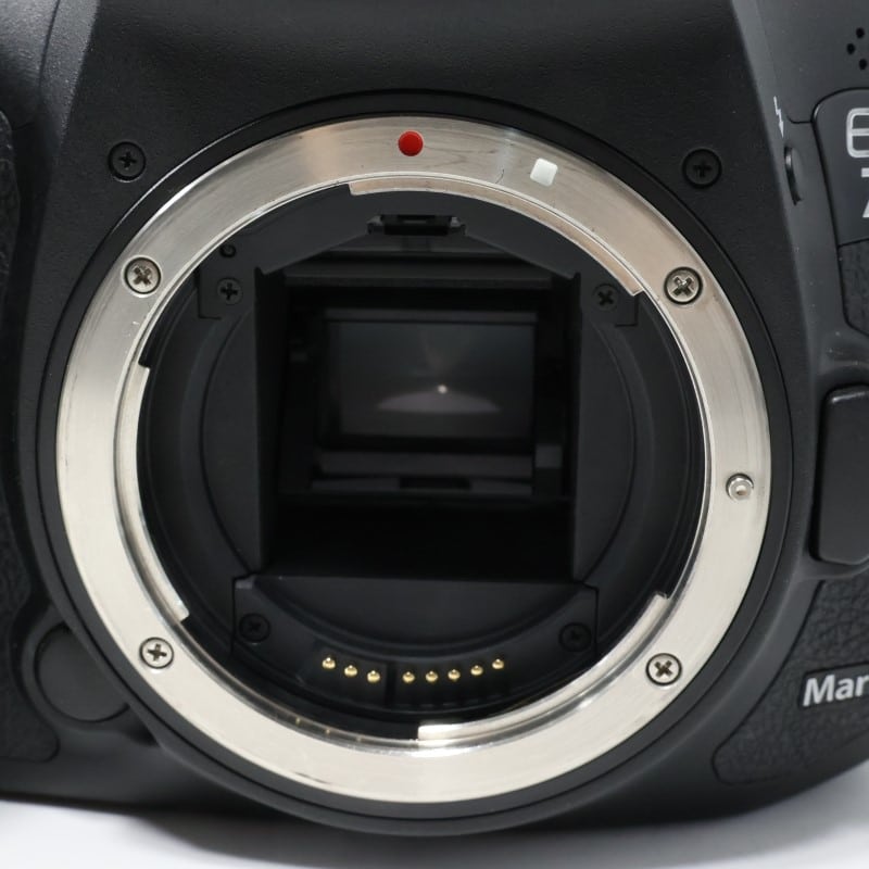 EOS 7D Mark II ボディー