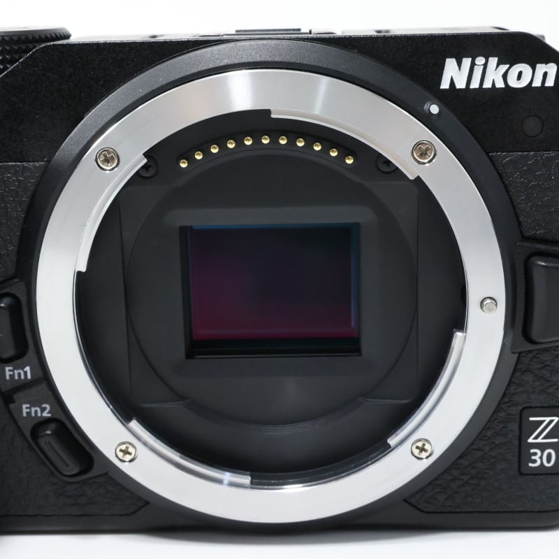 Z30 ボディ