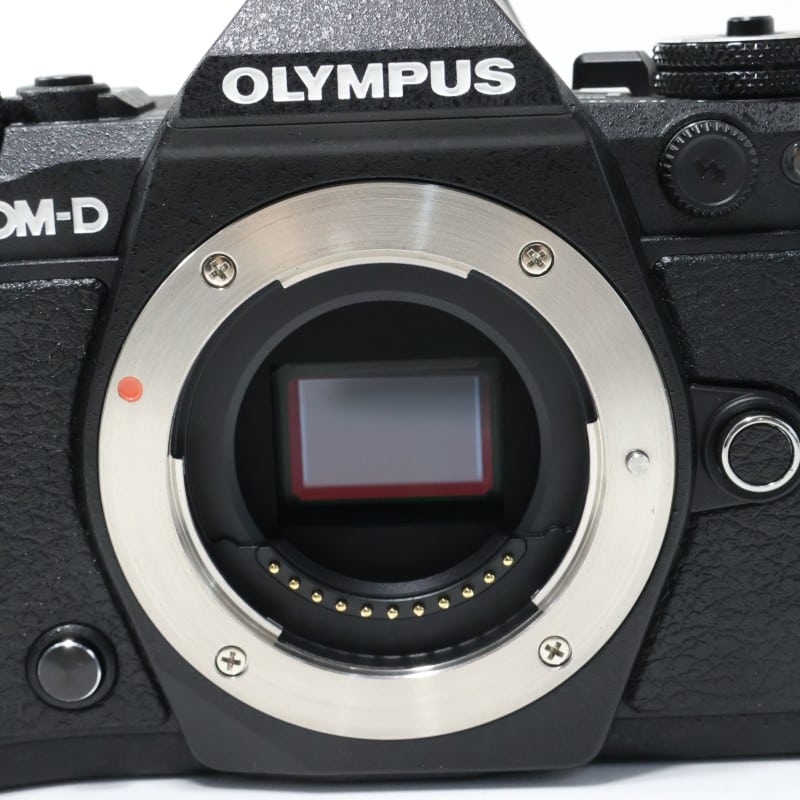 OM-D E-M5 Mark II ボディー ブラック