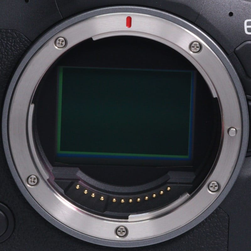 EOS R6 Mark II ボディー