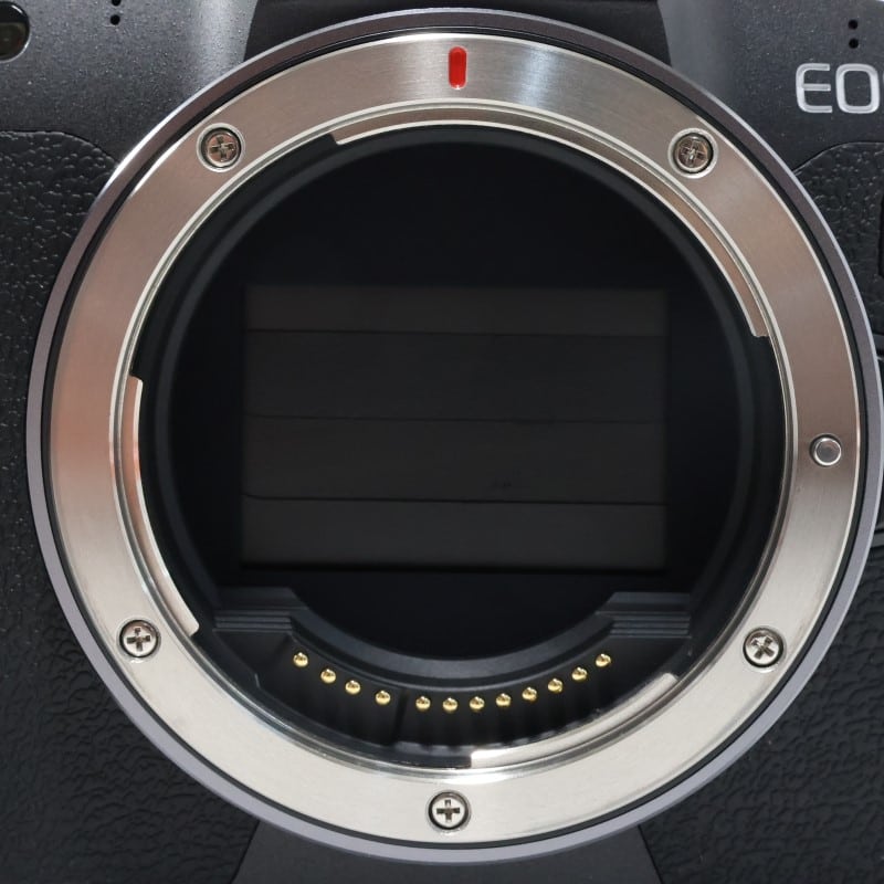 EOS R ボディー