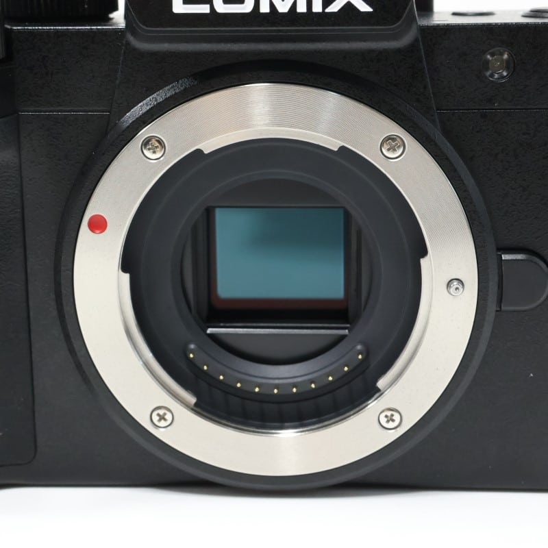 LUMIX G100D ボディ DC-G100D