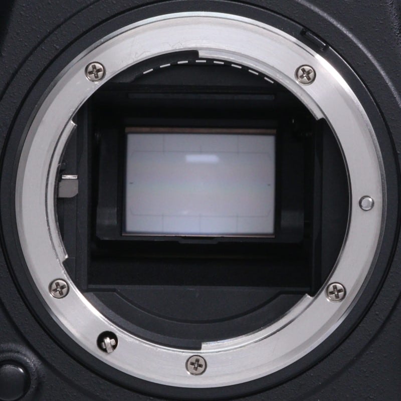 D500 ボディ