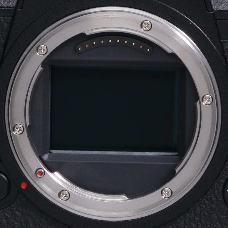 LUMIX DC-S1