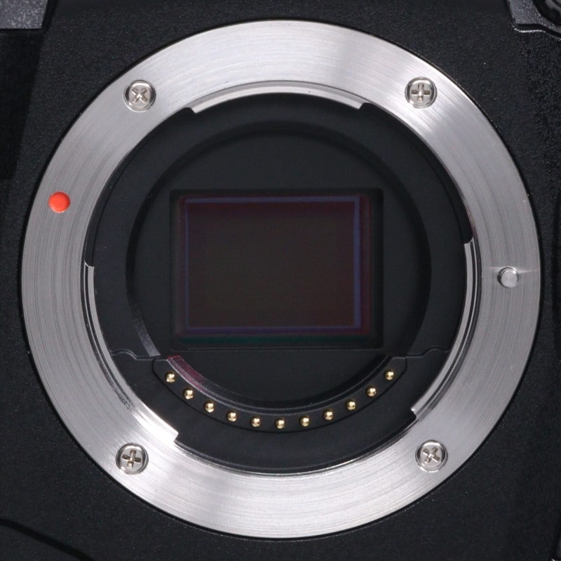 OM-D E-M1X ボディー