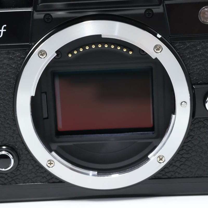 Zf ボディ(ブラック)