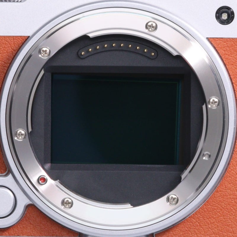 LUMIX S9 ボディのみ ライトシルバー(キャメルオレンジ)