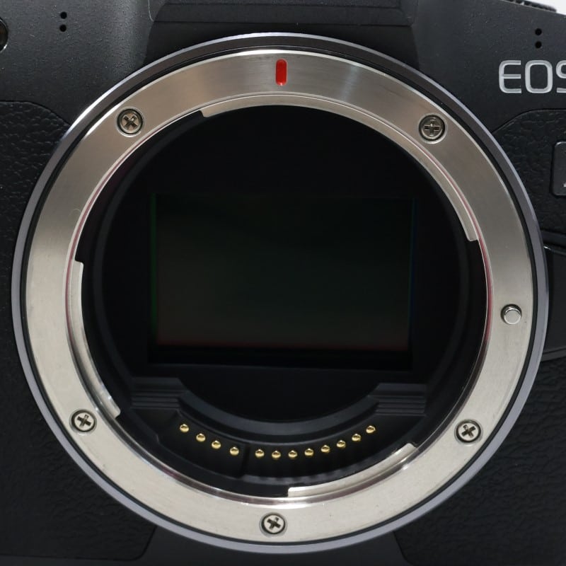 EOS R ボディー