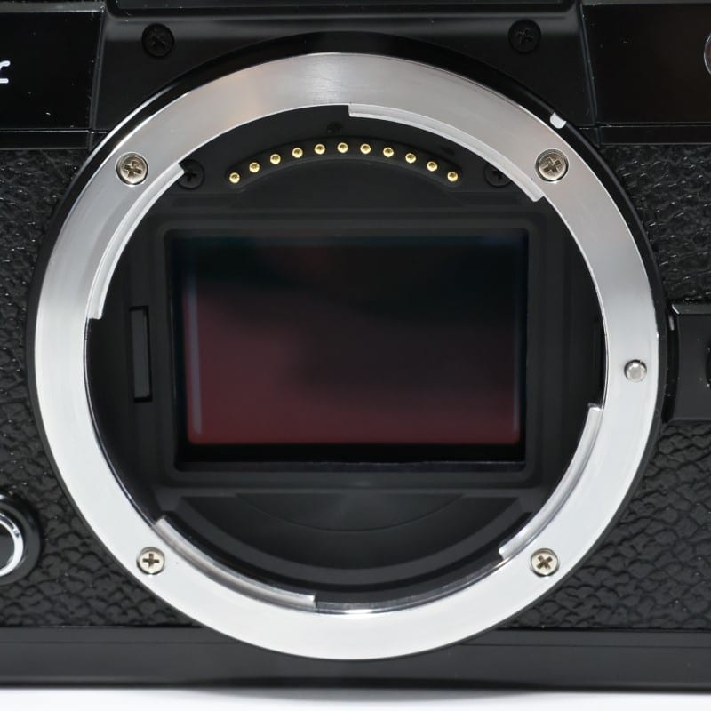 Zf ボディ(ブラック)