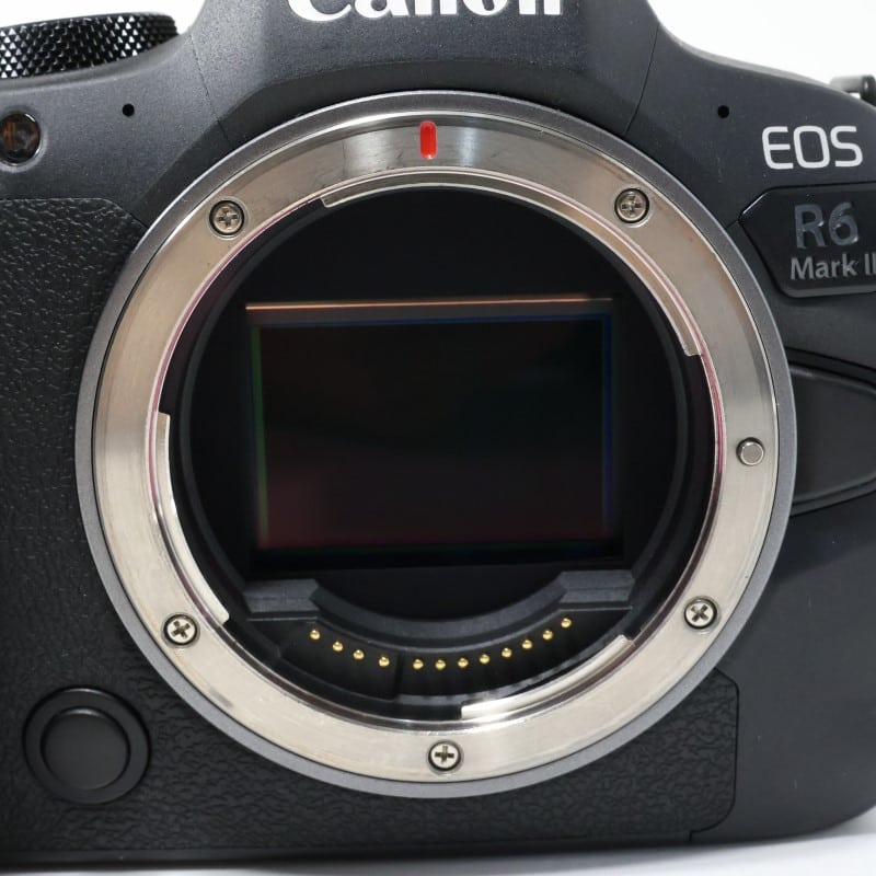EOS R6 Mark II ボディー