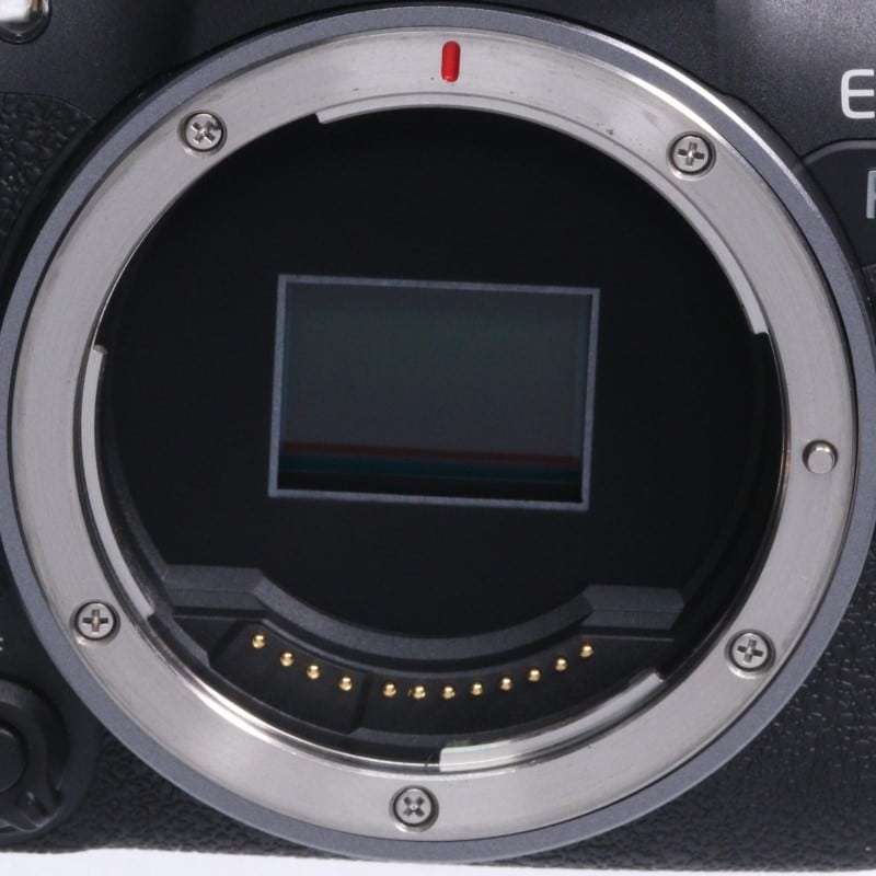 EOS R10 ボディー